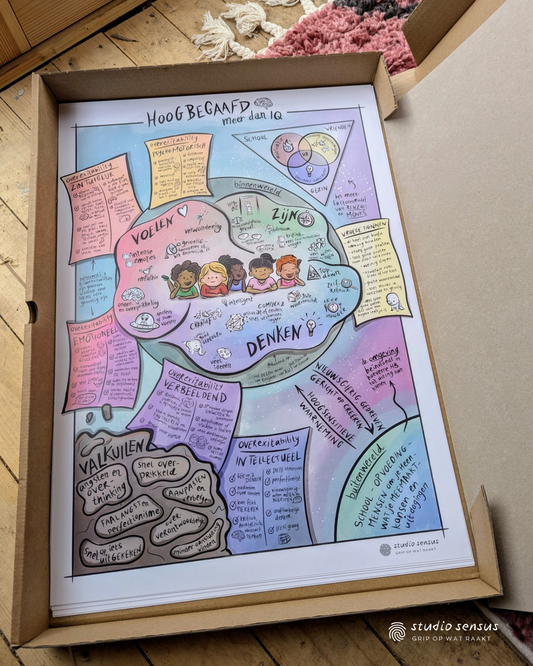 Doos met nieuwe voorraad van de poster Hoogbegaafd meer dan IQ