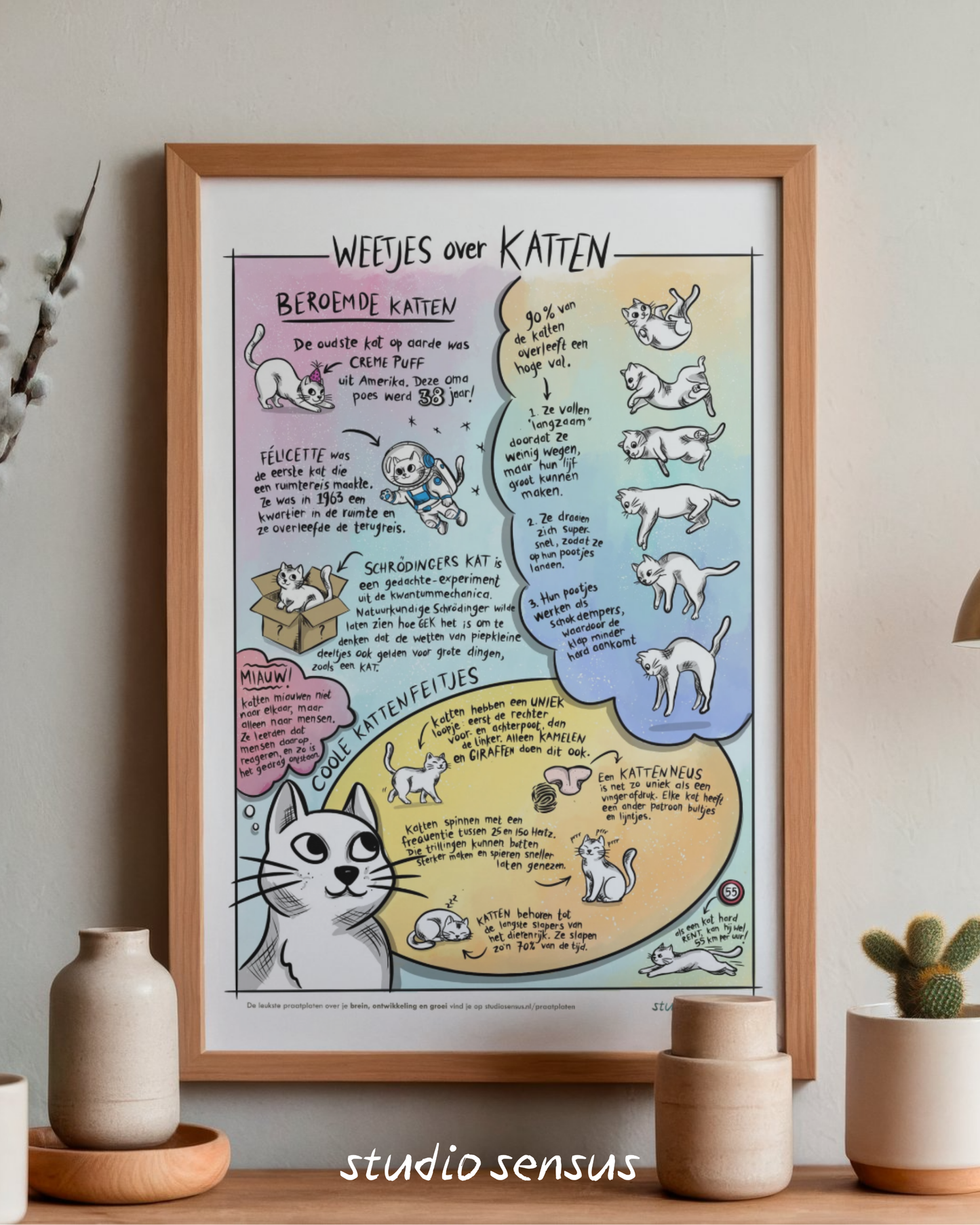 Chat sheet 'Facts about cats'